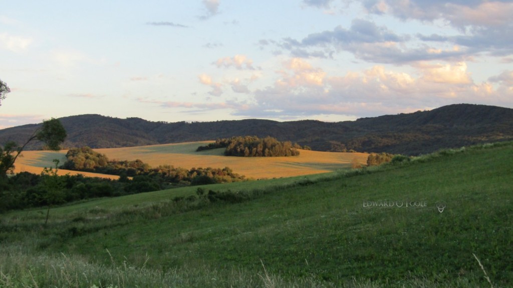 carpathian hills