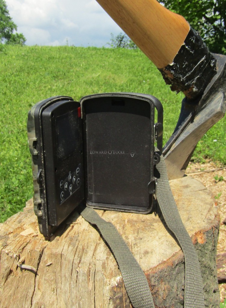 rd1000trailcam2