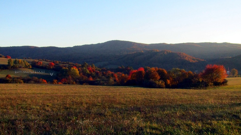 autumncolours